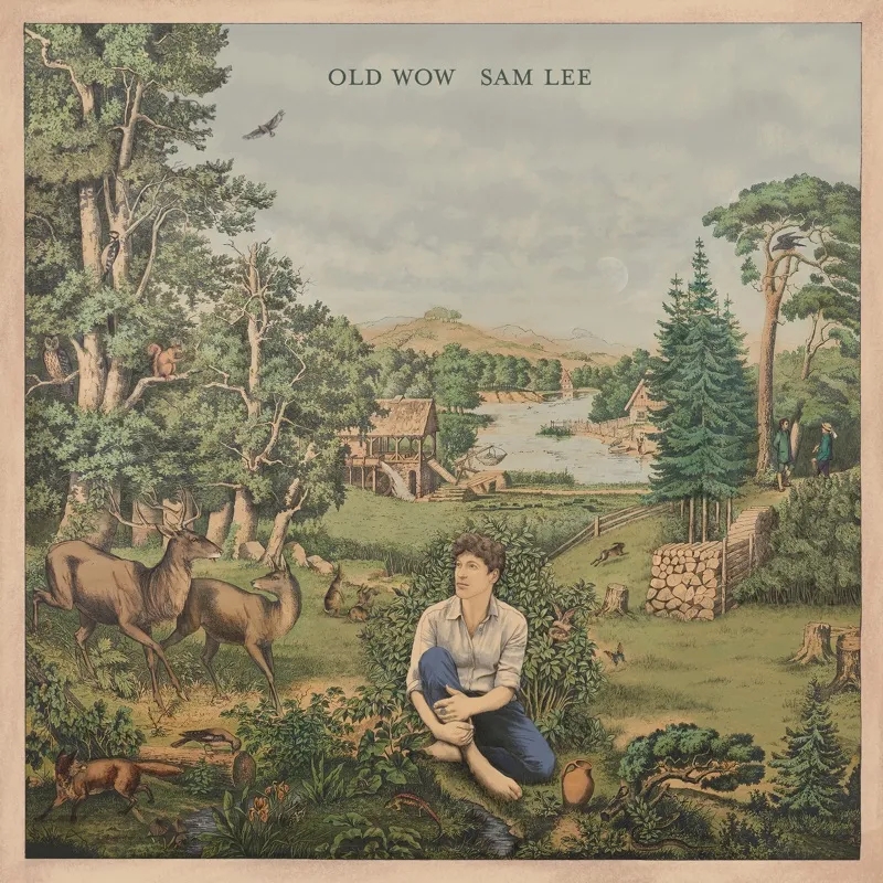 Album artwork for Old Wow by Sam Lee