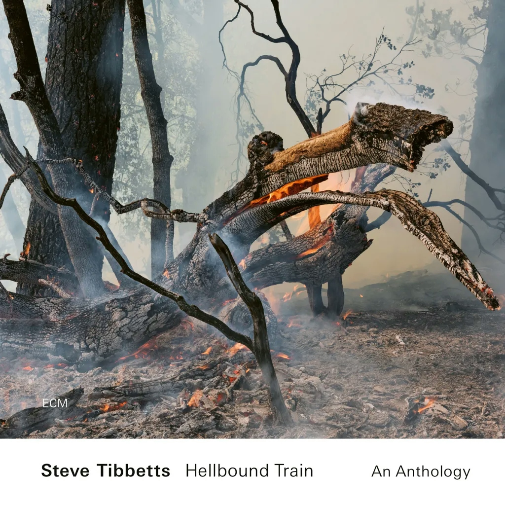 Album artwork for Hellbound Train - An Anthology by Steve Tibbetts