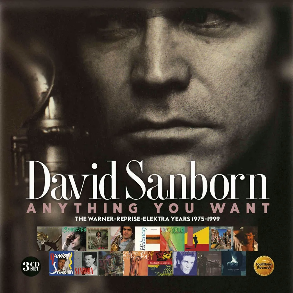 Album artwork for Anything You Want – The Warner-Reprise-Elektra Years (1975-1999) by David Sanborn