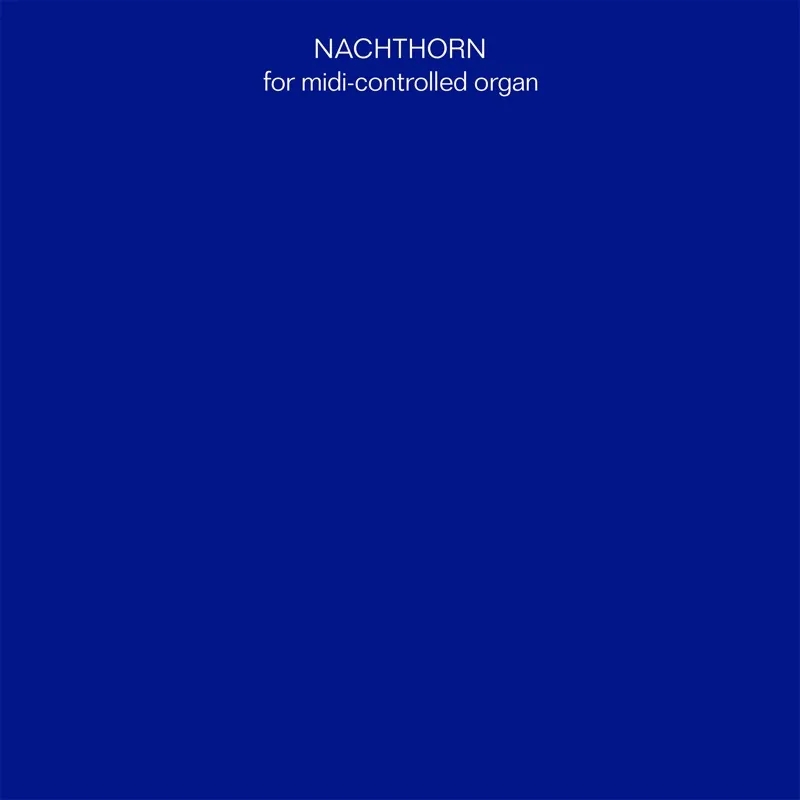 Album artwork for Nachthorn by Maxime Denuc