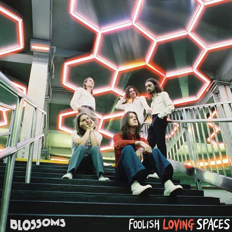 Album artwork for Foolish Loving Spaces by Blossoms