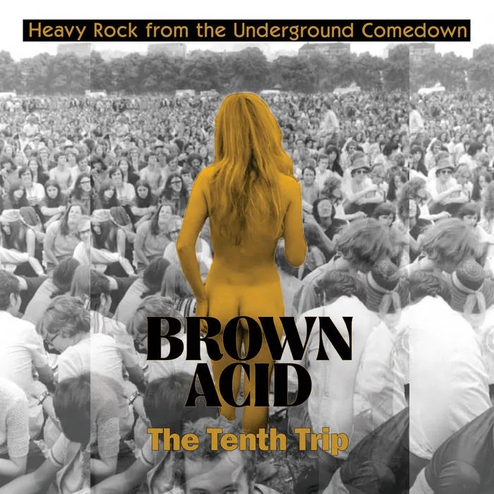 Album artwork for Brown Acid - The Tenth Trip by Various