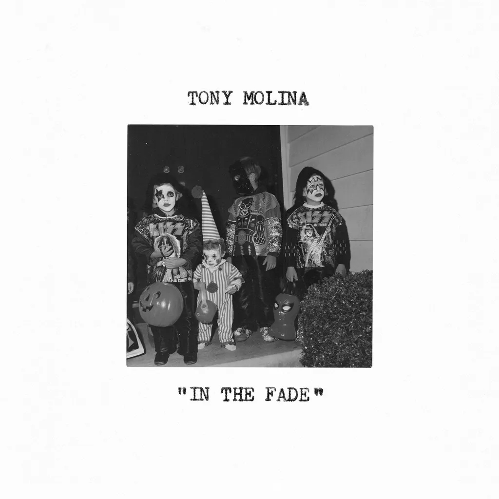 Album artwork for In the Fade by Tony Molina