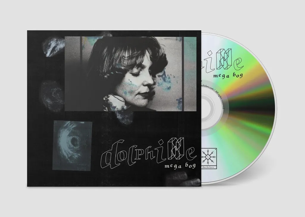 Album artwork for Dolphine by Mega Bog