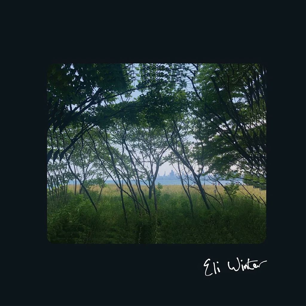 Album artwork for Eli Winter by Eli Winter 