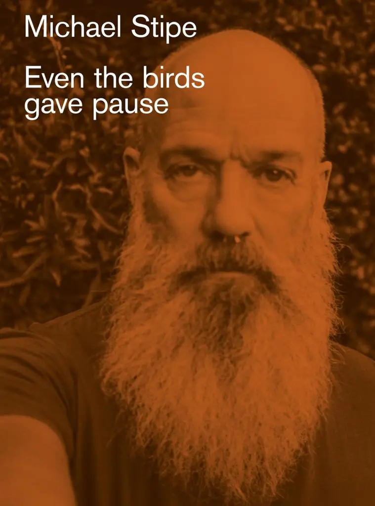 Album artwork for Michael Stipe by Even the birds gave pause