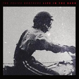Album artwork for Life In The Dark by The Felice Brothers