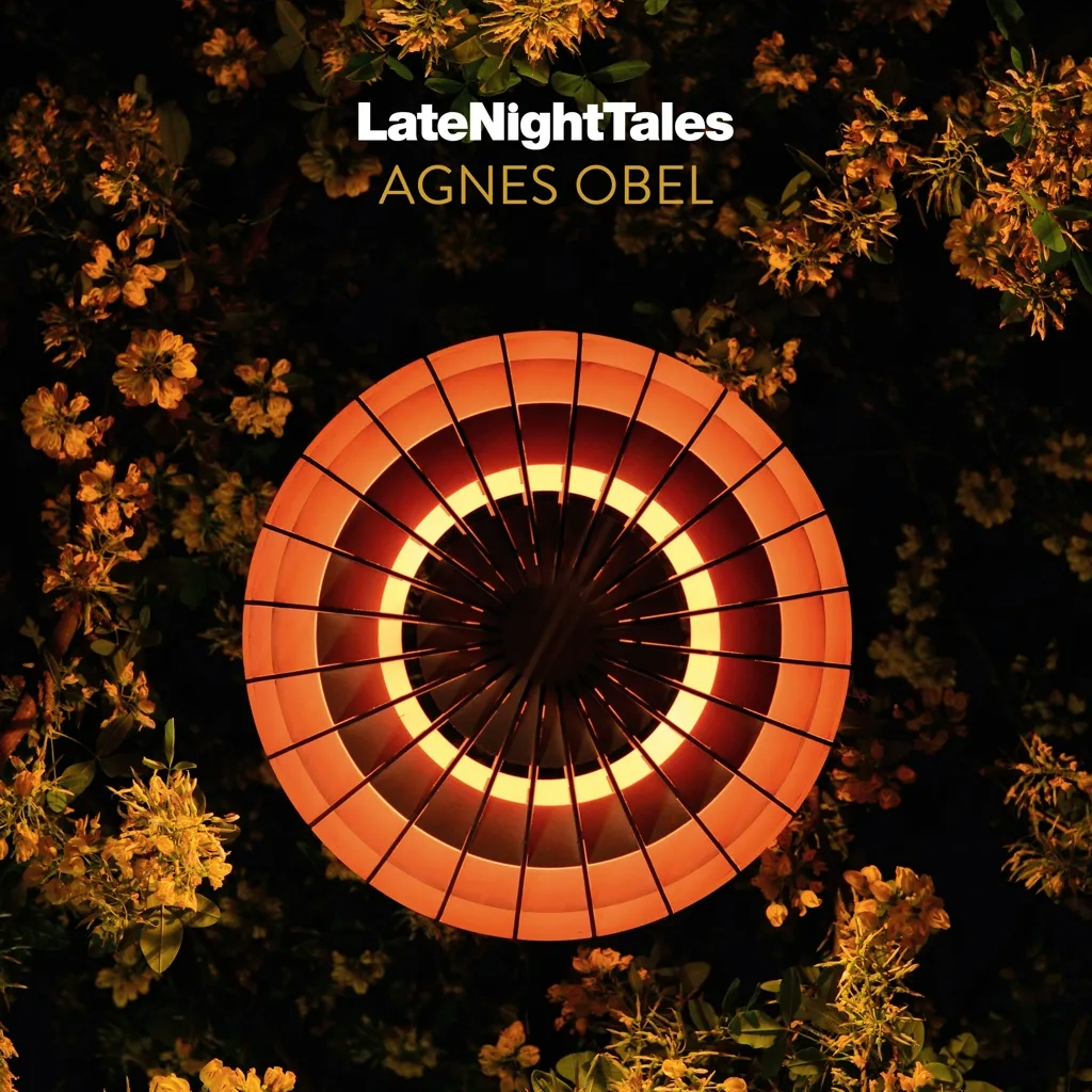Album artwork for Agnes Obel - Late Night Tales by Various