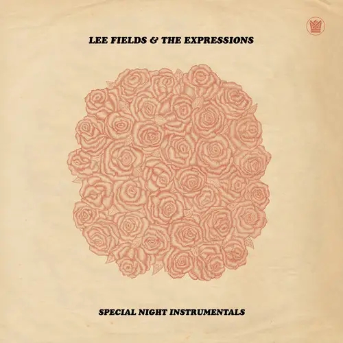 Album artwork for Special Night (Instrumentals) by Lee Fields