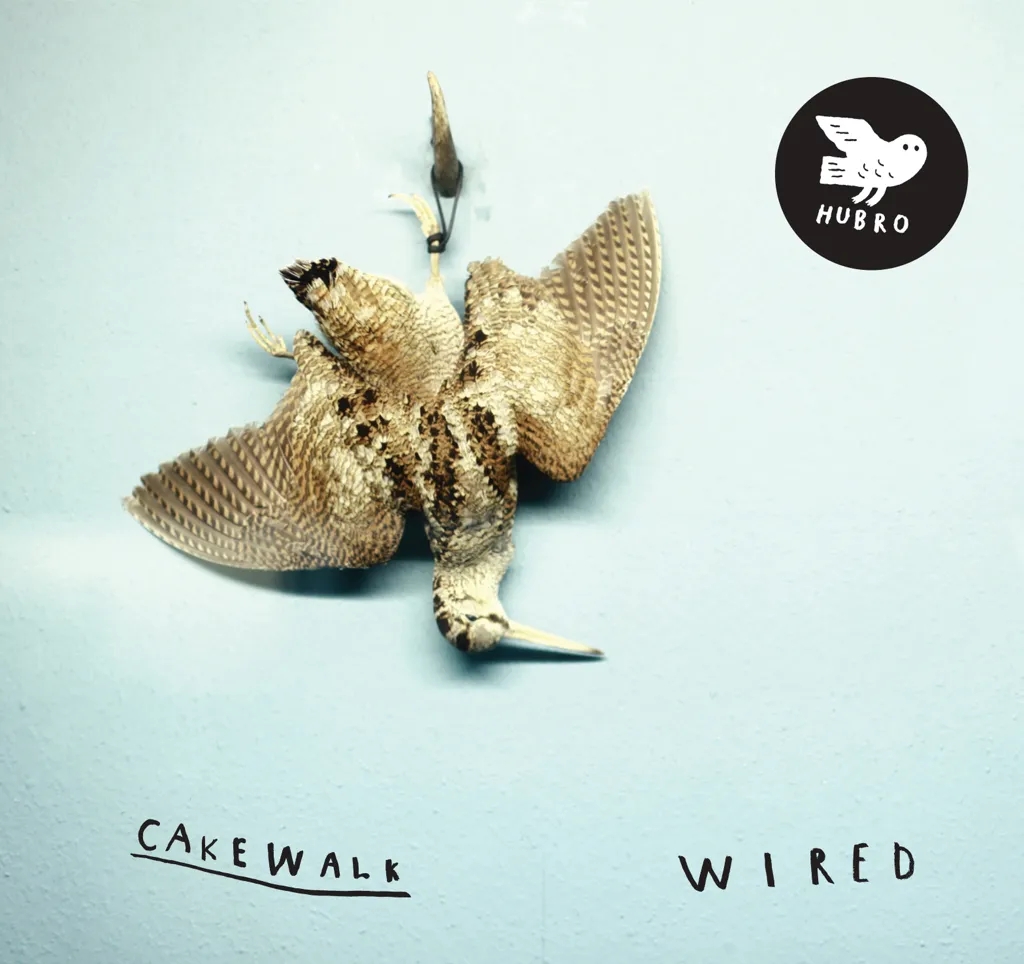 Album artwork for Wired by Cakewalk