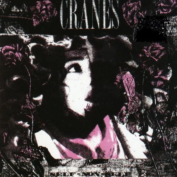 Album artwork for Self Non-Self by Cranes