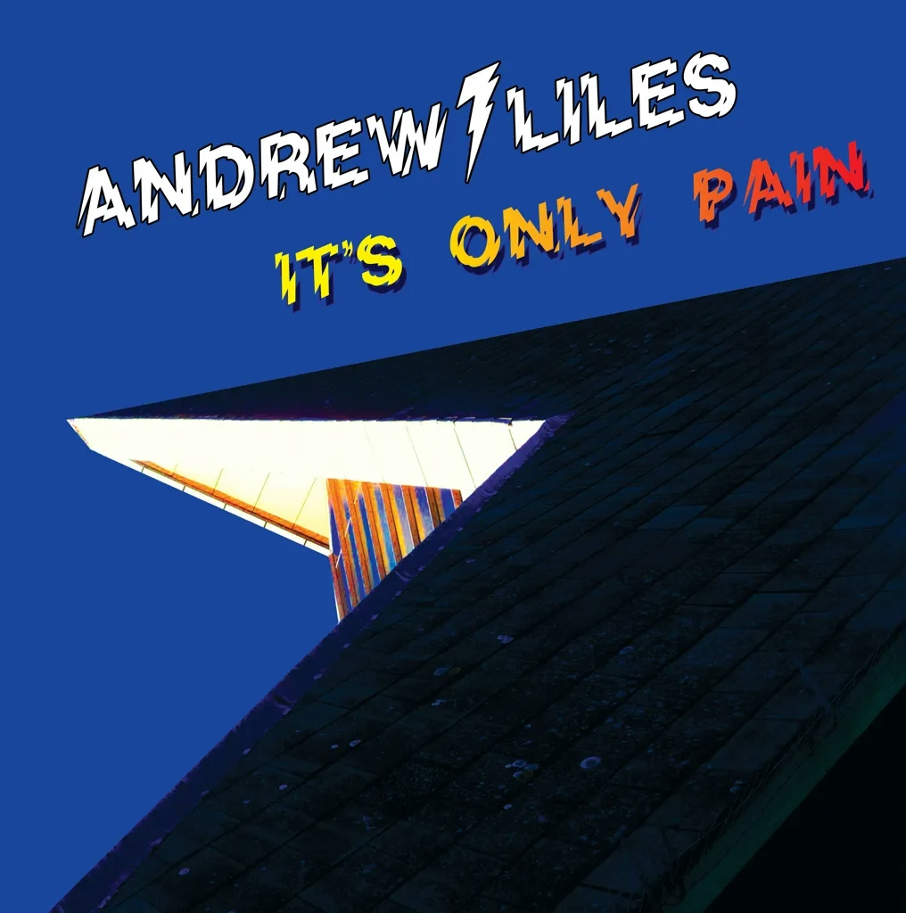 Album artwork for It's Only Pain by Andrew Liles