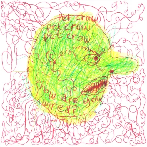 Album artwork for How Are You Wired? by Pet Crow