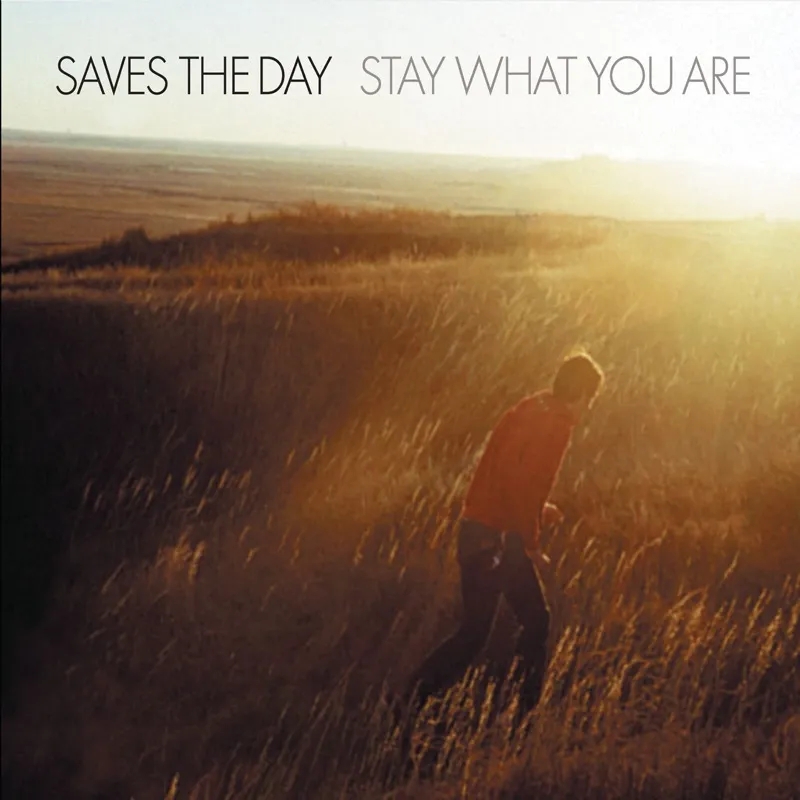 Album artwork for Stay What You Are by Saves The Day