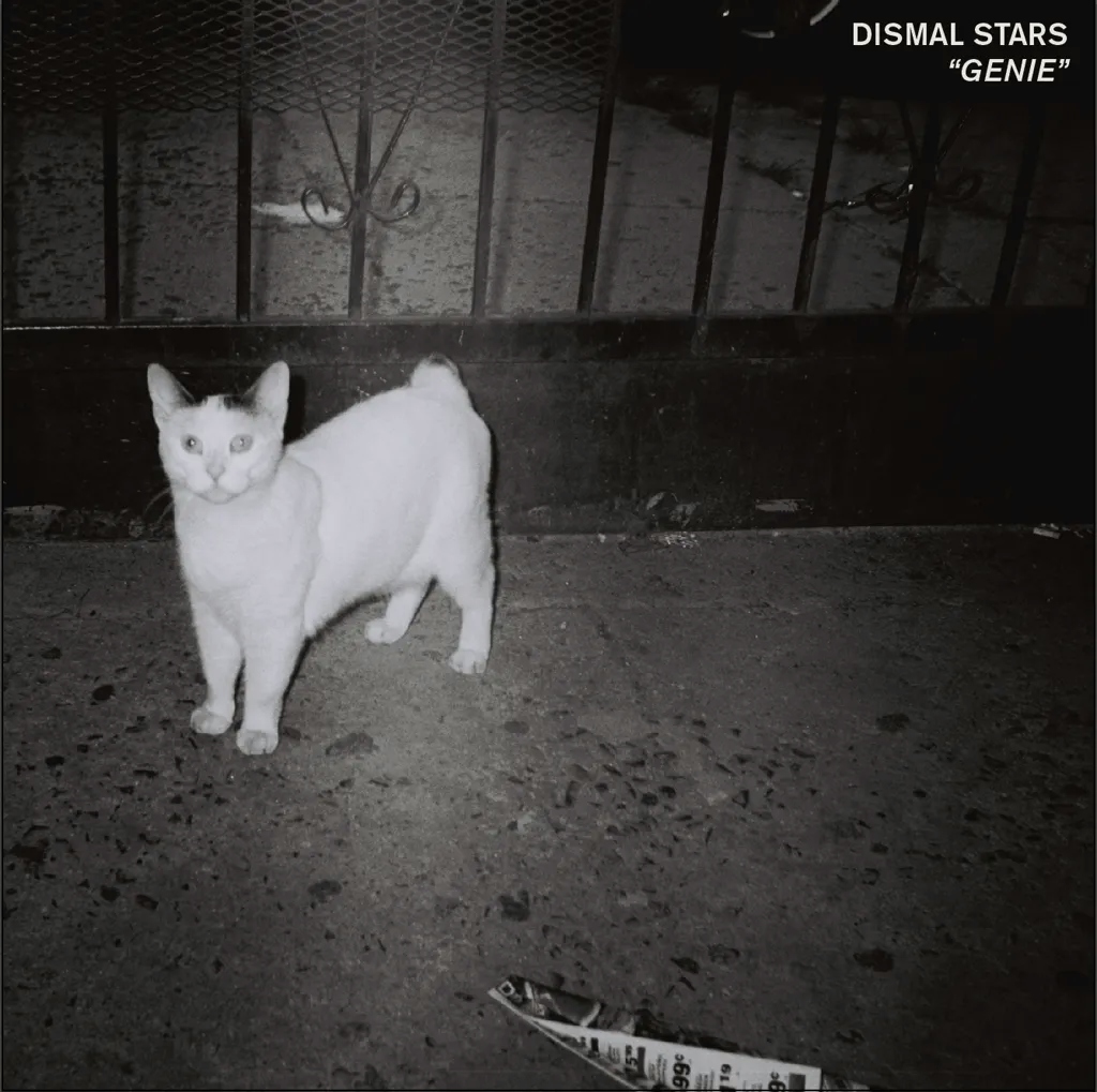 Album artwork for Genie by Dismal Stars