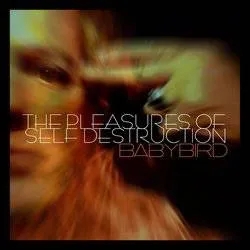 Album artwork for The Pleasures Of Self Destruction by Babybird