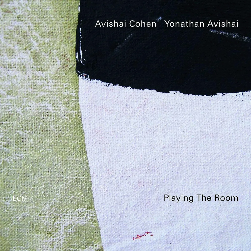 Album artwork for Playing The Room by Avishai Cohen / Yonathan Avishai