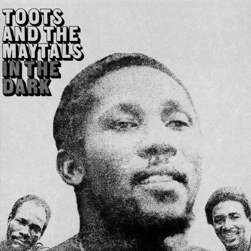 Album artwork for In The Dark by Toots and the Maytals
