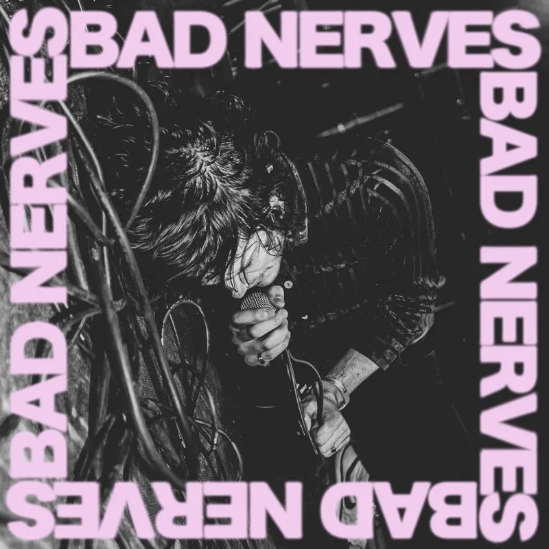 Album artwork for Bad Nerves by Bad Nerves