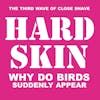 Album artwork for Why Do Birds Suddenly Appear by Hard Skin