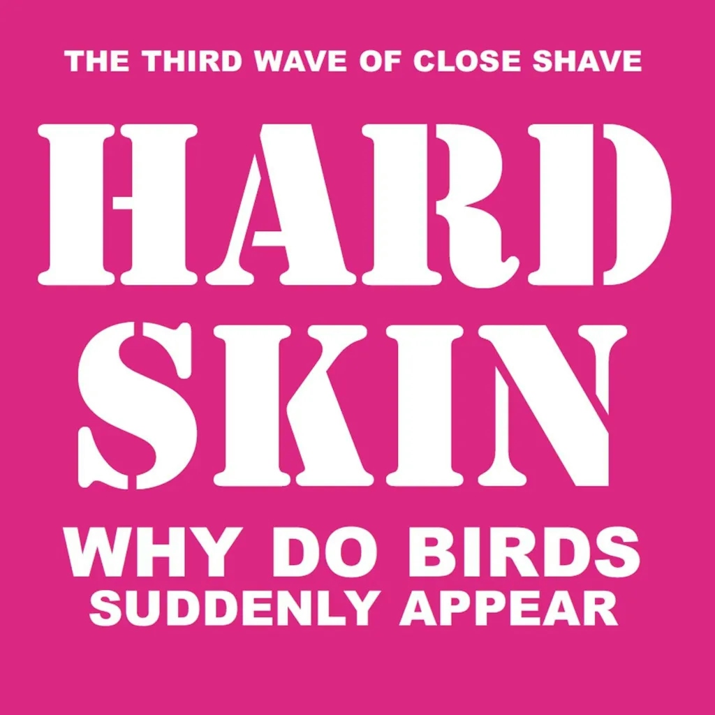 Album artwork for Why Do Birds Suddenly Appear by Hard Skin