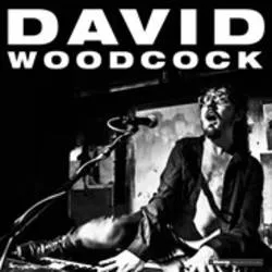 Album artwork for David Woodcock by David Woodcock
