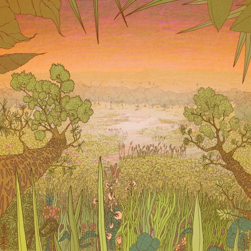 Album artwork for Mirage on the Meadow by Pine Barons