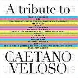 Album artwork for Various - A Tribute To Caetano Veloso by Various