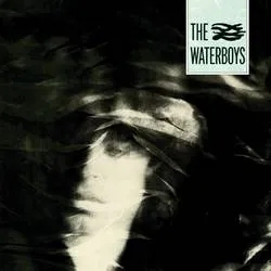 Album artwork for The Waterboys by The Waterboys