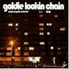Album artwork for Original Pyrite Material by Goldie Lookin Chain