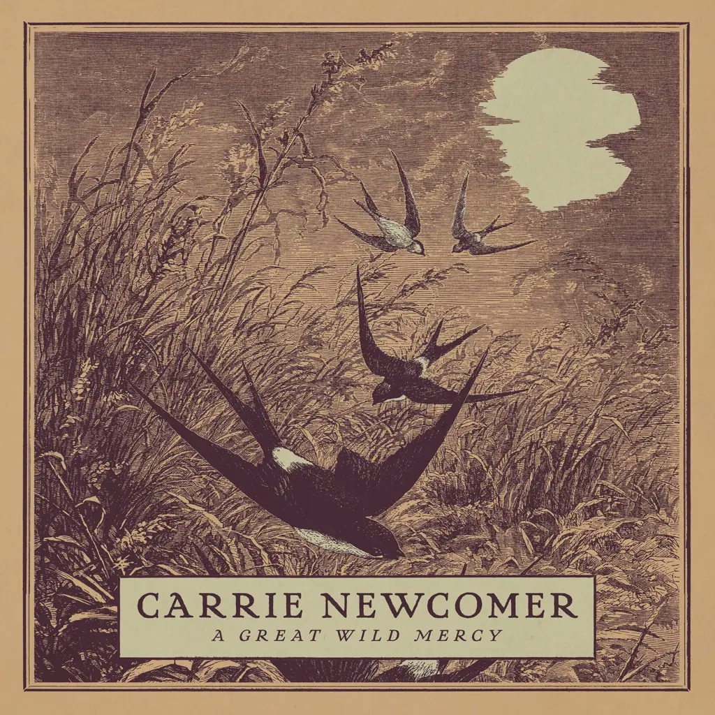 Album artwork for A Great Wild Mercy by Carrie Newcomer