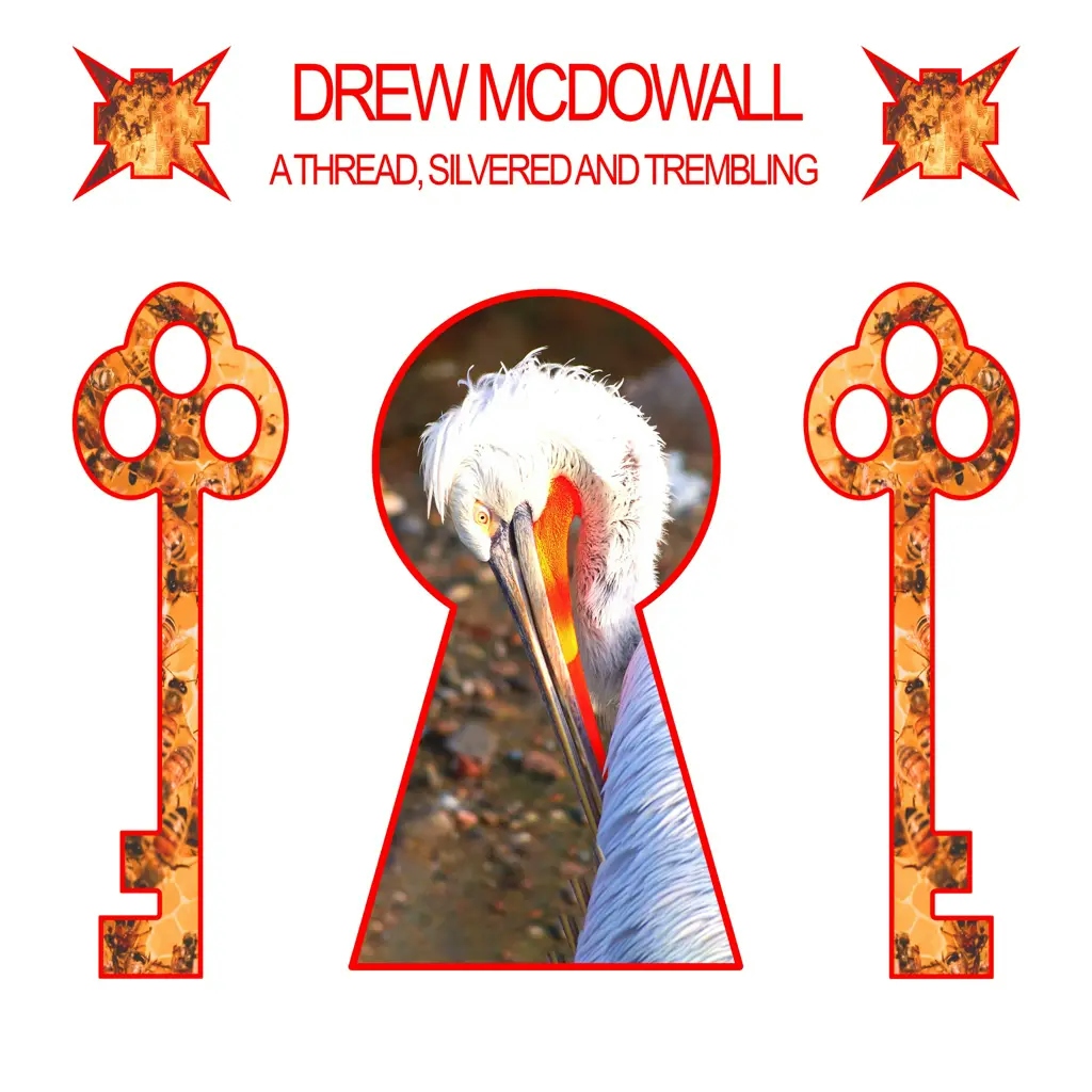 Album artwork for A Thread, Silvered and Trembling by Drew McDowall