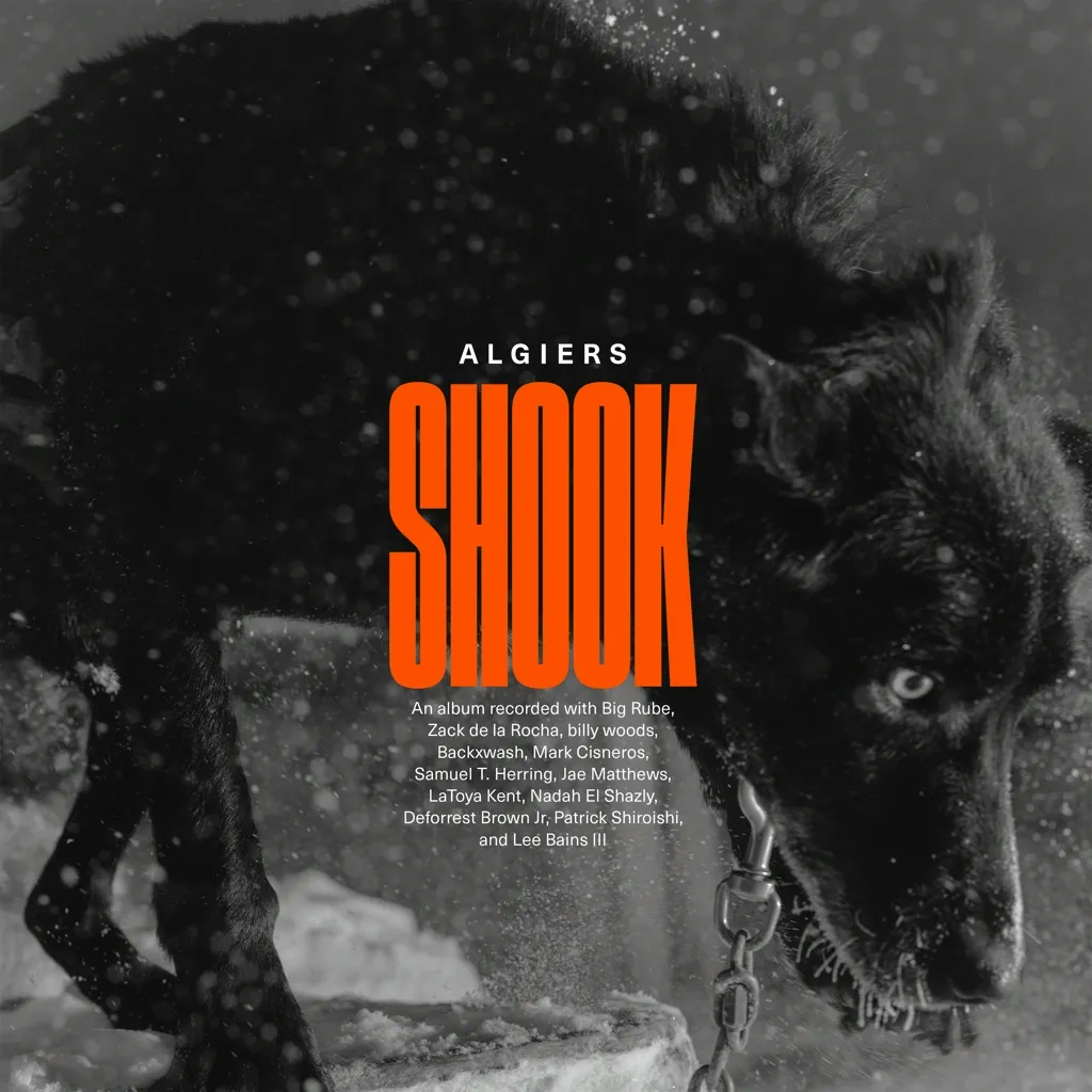 Album artwork for Shook by Algiers