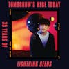 Album artwork for Tomorrow's Here Today: 35 Years of Lightning Seeds by Lightning Seeds