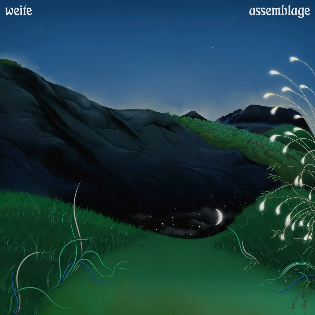Album artwork for Assemblage by Weite 