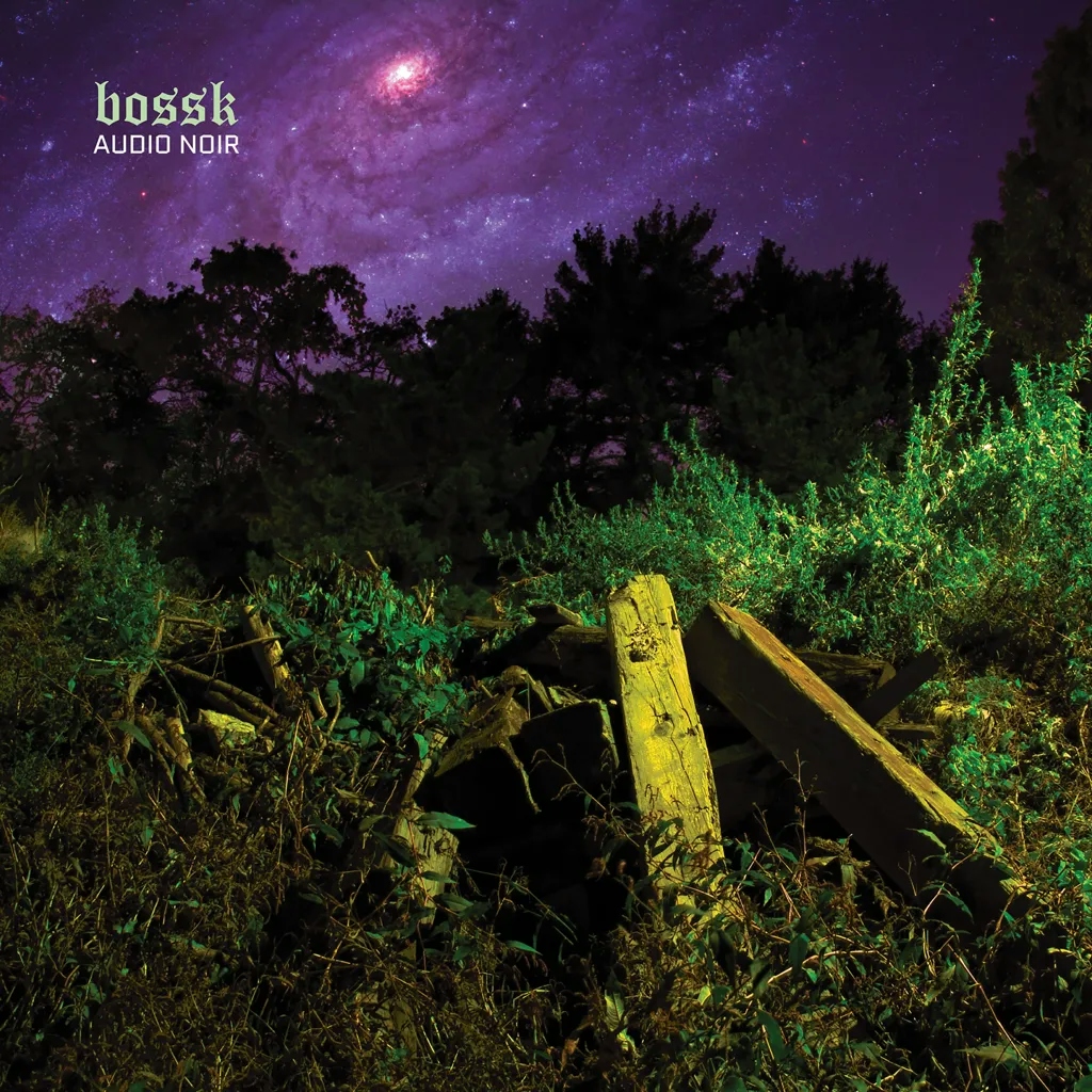 Album artwork for Audio Noir by Bossk