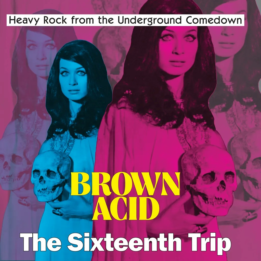 Album artwork for Brown Acid: The Sixteenth Trip by Various