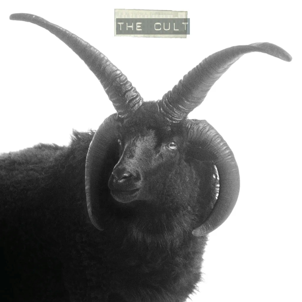Album artwork for The Cult by The Cult