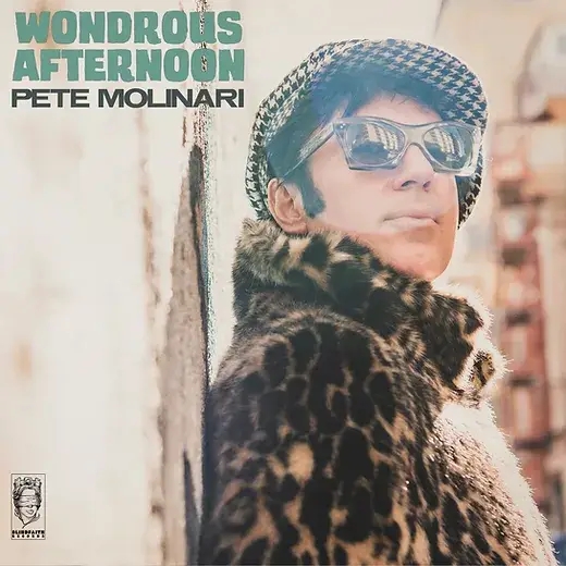 Album artwork for Wondrous Afternoon by Pete Molinari