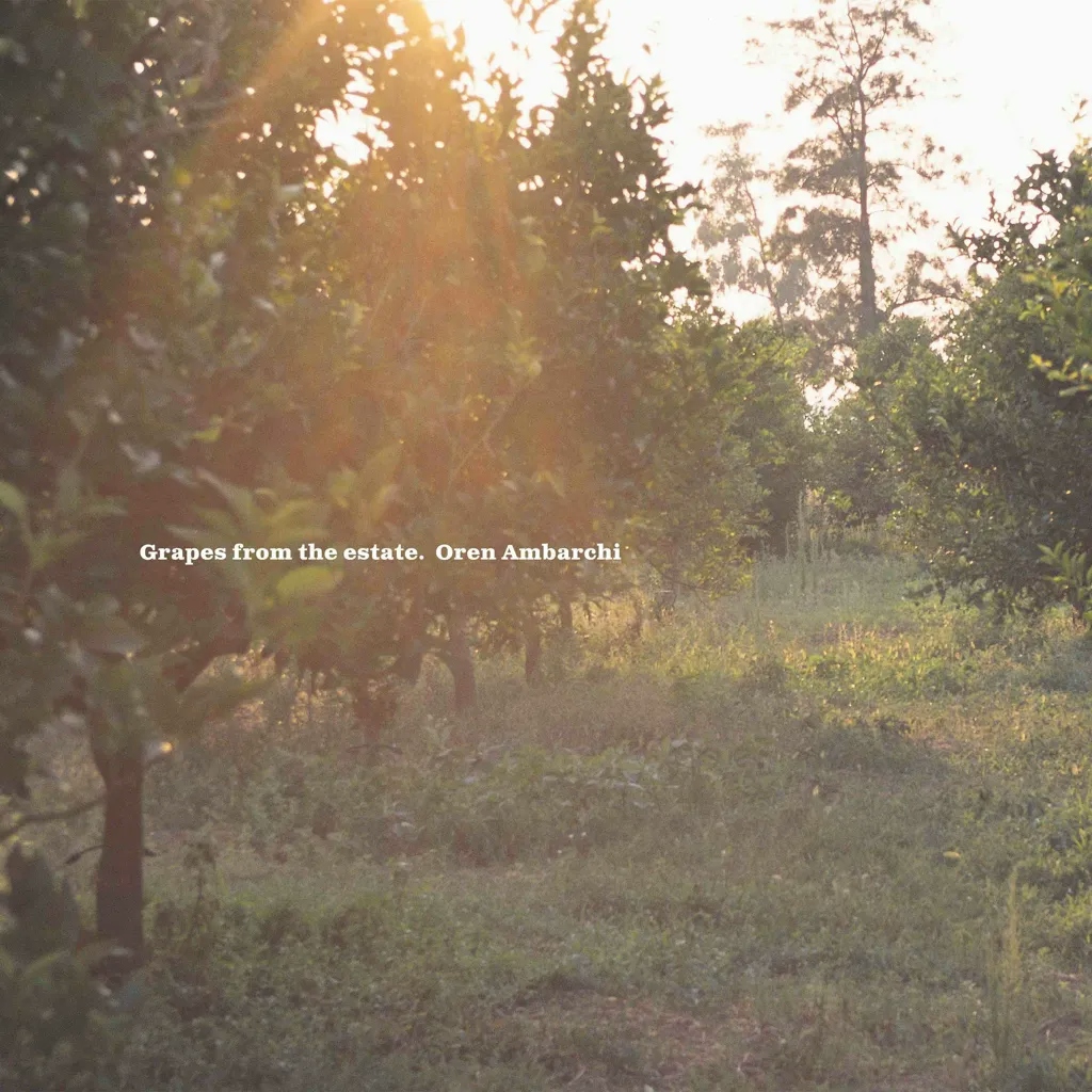 Album artwork for Grapes From The Estate by Oren Ambarchi