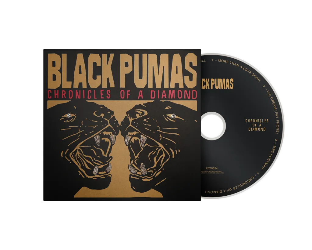 Album artwork for Chronicles of a Diamond by Black Pumas