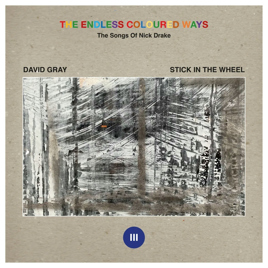 Album artwork for The Endless Coloured Ways: The Songs of Nick Drake - Place To Be / Parasite by David Gray, Stick In The Wheel