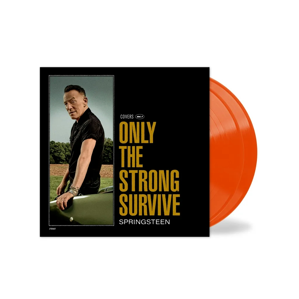 Album artwork for Only The Strong Survive by Bruce Springsteen