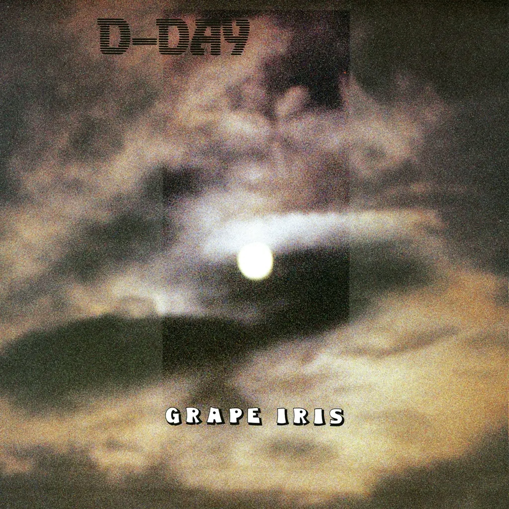 Album artwork for Grape Iris by D Day
