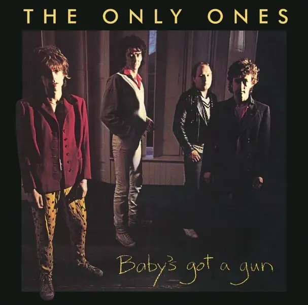 Album artwork for Baby's Got A Gun by The Only Ones