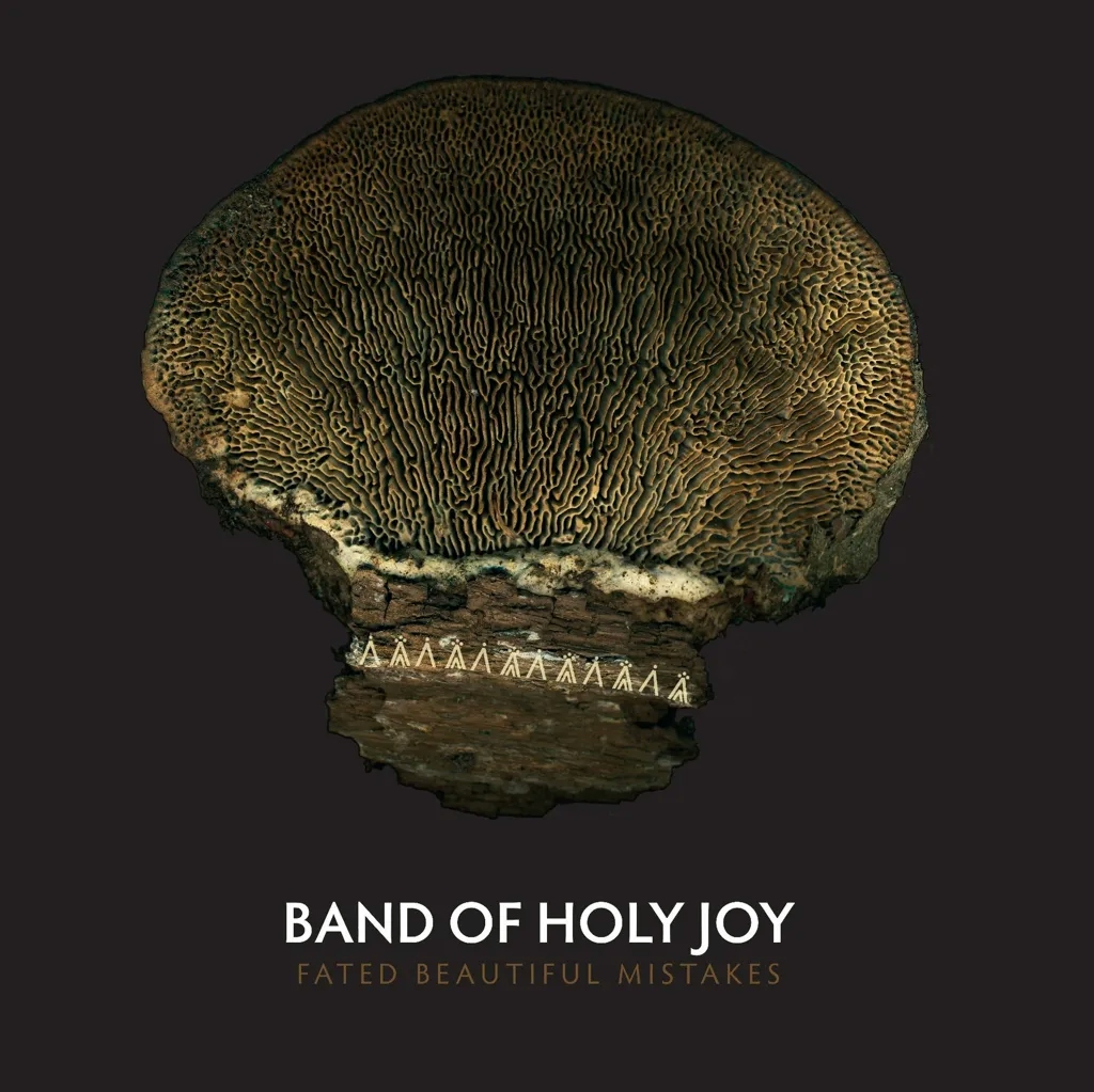 Album artwork for Fated Beautiful Mistakes by Band Of Holy Joy