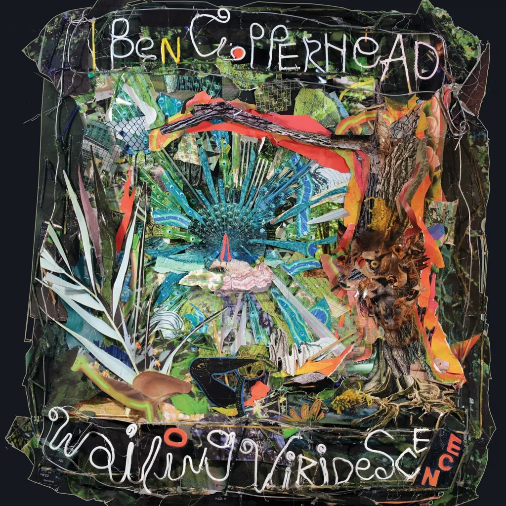 Album artwork for Wailing Viridescence by Ben Copperhead
