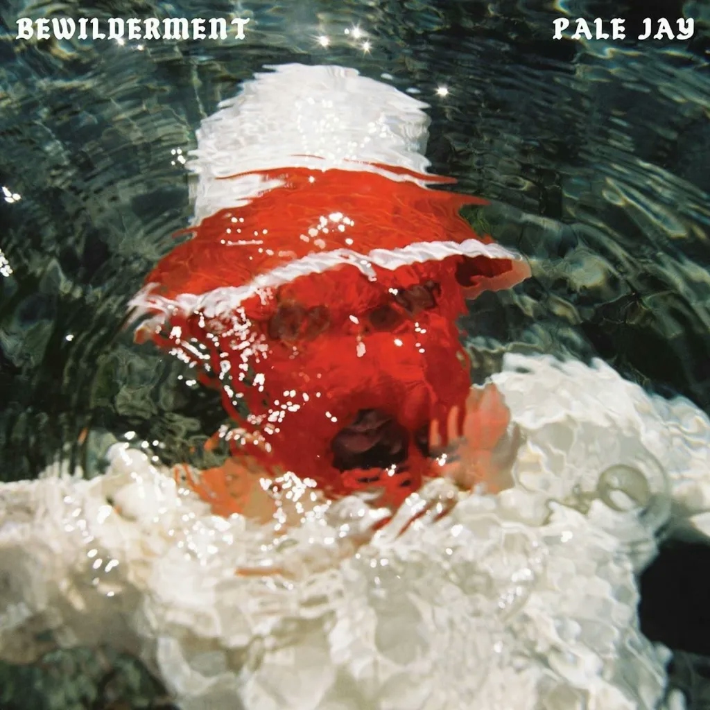 Album artwork for Bewilderment by Pale Jay