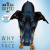 Album artwork for Why The Long Face - RSD 2024 by Big Country
