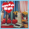 Album artwork for Cleaning Up With by Big Mess